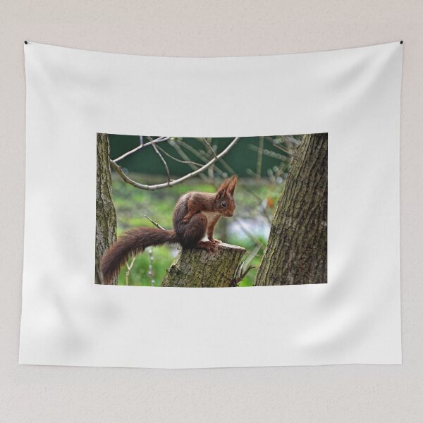 Item preview, Red Squirrel .......... designed and sold by lynn carter.