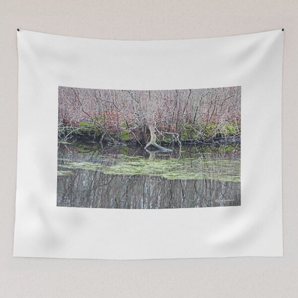 Item preview, Mossy Edge of the Lake designed and sold by Gilda Axelrod.