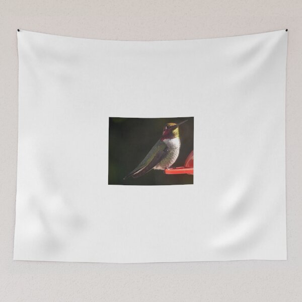 Item preview, HUMMINGBIRD MALE ANNA'S RESTING ON A PERCH designed and sold by JAYMILO.