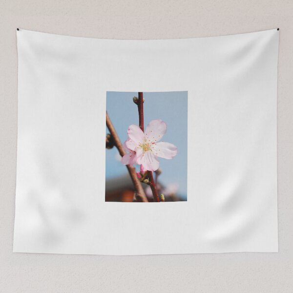 Aperçu de l'œuvre Almond Blossom créée et vendue par jojobob.