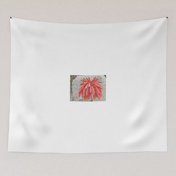 Item preview, Mitre Aloe - a pendulous beauty designed and sold by BiodiversityRocks.