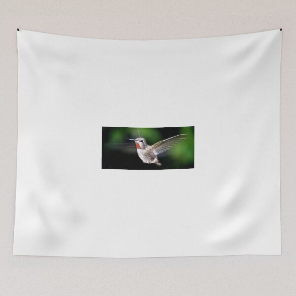 Item preview, RED THROATED FEMALE ANNA'S HUMMINGBIRD designed and sold by JAYMILO.