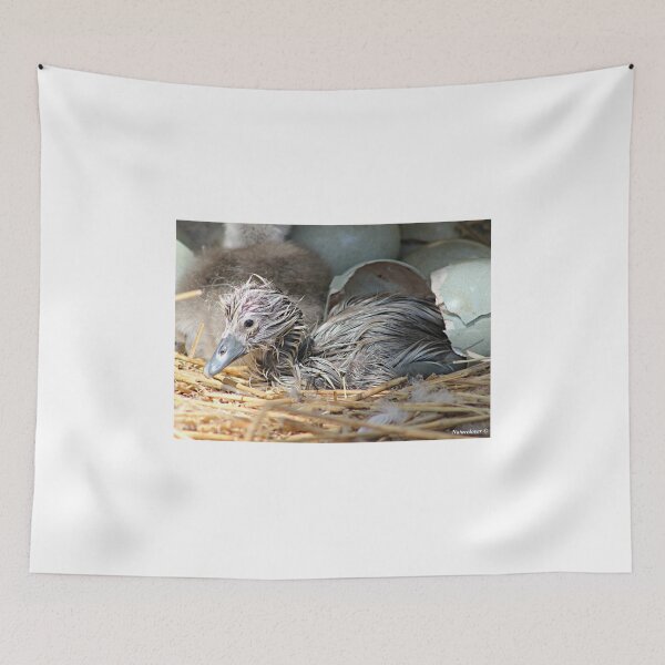 Item preview, Newborn designed and sold by naturelover.