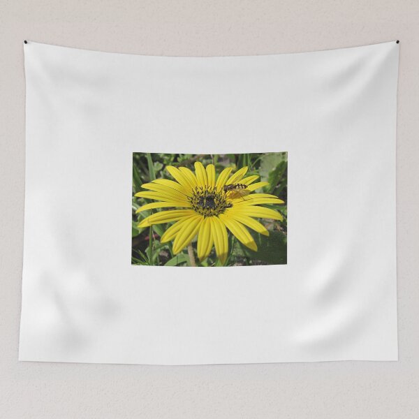 Item preview, Beautiful yellow daisy with a visitor designed and sold by BiodiversityRocks.