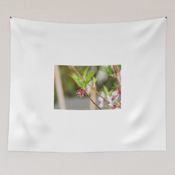 Item preview, Almond Flowers After Petal Drop designed and sold by jojobob.