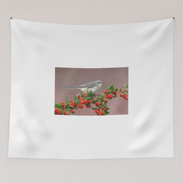 Item preview, Northern Mockingbird and berries designed and sold by (Tallow) Dave  Van de Laar.