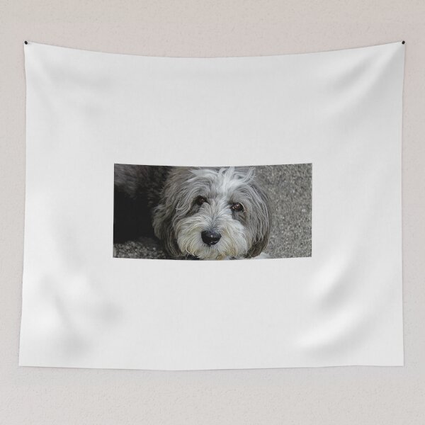 Item preview, Cassie Bonny Lassie designed and sold by Ladymoose.