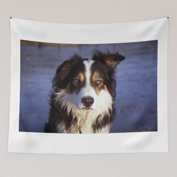 Item preview, Portrait of Laddie designed and sold by Michael Haslam.