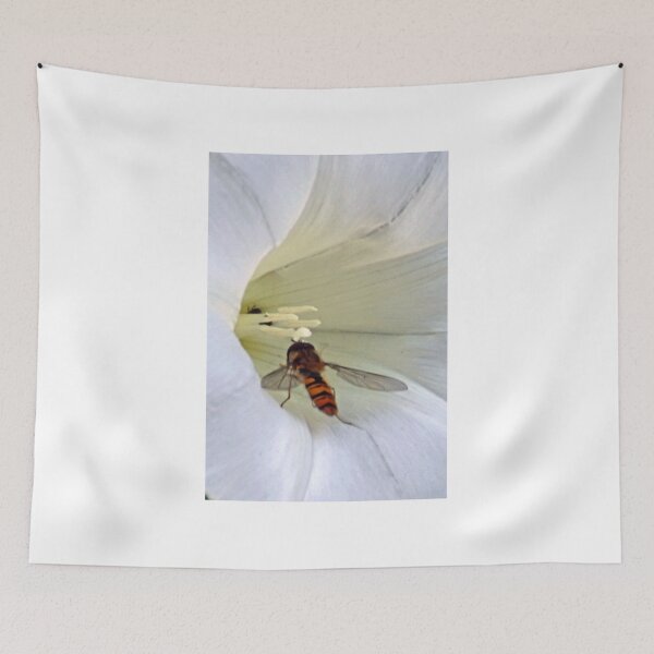 Item preview, Hoverfly on Bindweed flower designed and sold by lynn carter.