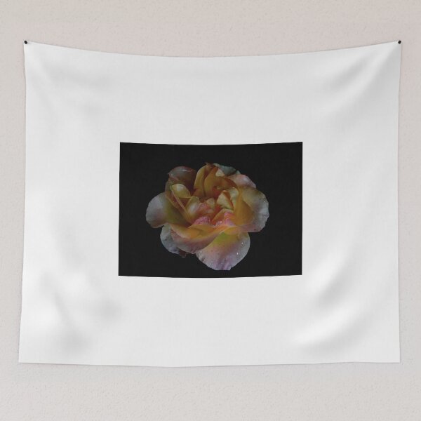 Item preview, Rain on a Night Rose designed and sold by Aleesha Haigwood.