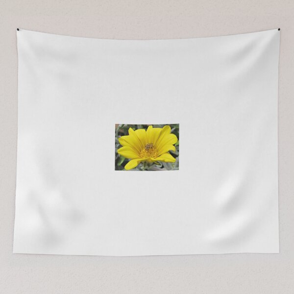 Item preview, Gazania uniflora with a visitor designed and sold by BiodiversityRocks.