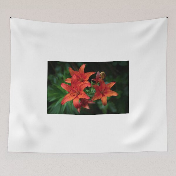 Item preview, Lily designed and sold by James Cumming.