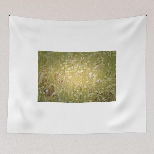 Item preview, Soft Colours designed and sold by N-MPhotography.
