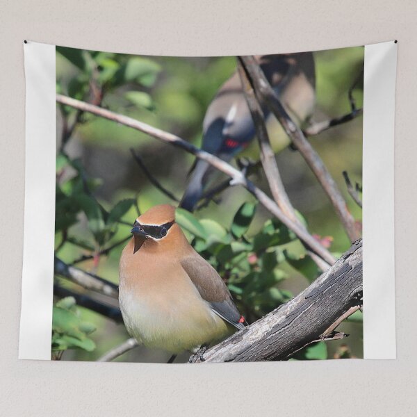 Item preview, Cedar Waxwings designed and sold by Carl Olsen.