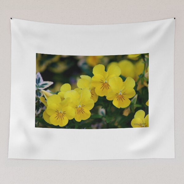 Item preview, Yellow Pansies designed and sold by Gilda Axelrod.