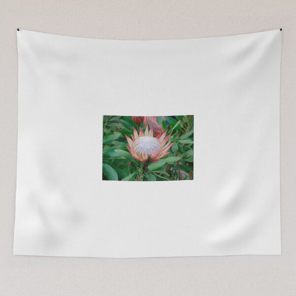 Item preview, Protea Cynaroides Flower designed and sold by jojobob.