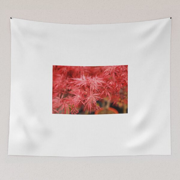 Item preview, Red Acer Leaves designed and sold by jojobob.