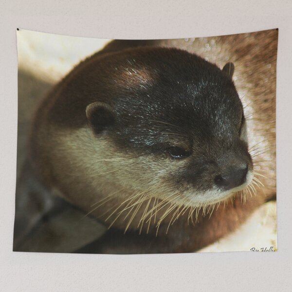 Item preview, Otter designed and sold by Holly Werner.