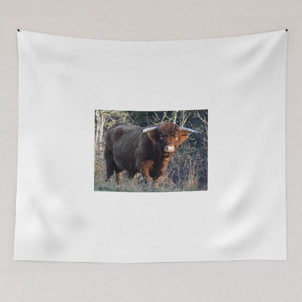 Item preview, Don't Mess With Me ....... designed and sold by lynn carter.