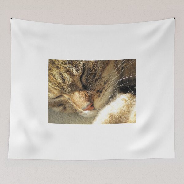 Artikelvorschau, Sleeping Tabby entworfen und verkauft von BiodiversityRocks.