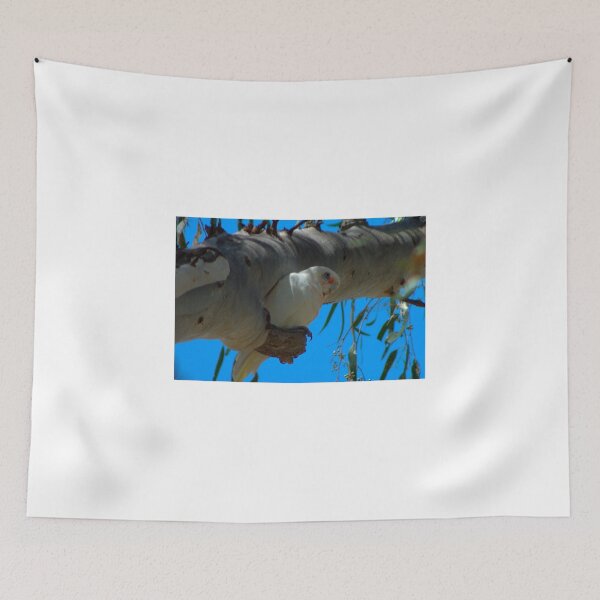 Item preview, Little Corella designed and sold by ndarby1.