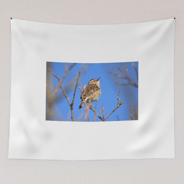 Item preview, Sedge Warbler  designed and sold by sandysshoots.