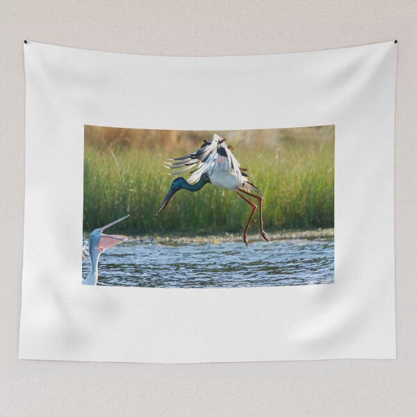 Item preview, Jabiru vs Pelican designed and sold by byronbackyard.