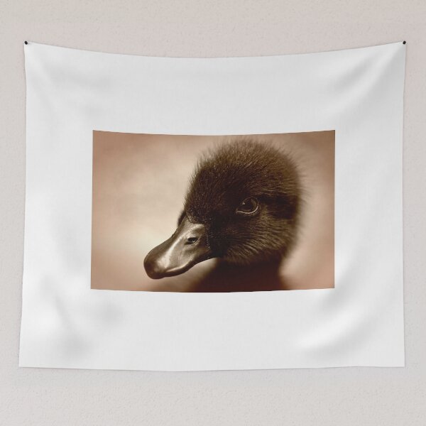 Item preview, Cayuga Duckling designed and sold by TeresaB.