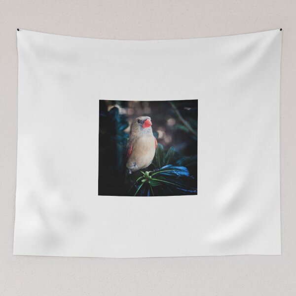 Item preview, Pretty Cardinal designed and sold by Victor Kilman.