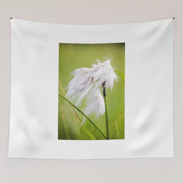 Item preview, common cottongrass designed and sold by novopics.