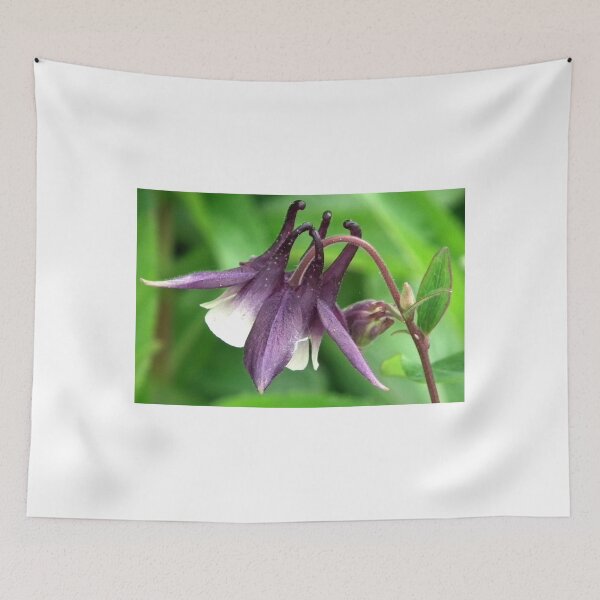 Item preview, Aqualiga Flower designed and sold by lynn carter.