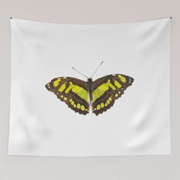 Item preview, Black & Yellow Butterfly designed and sold by SkatingGirl.