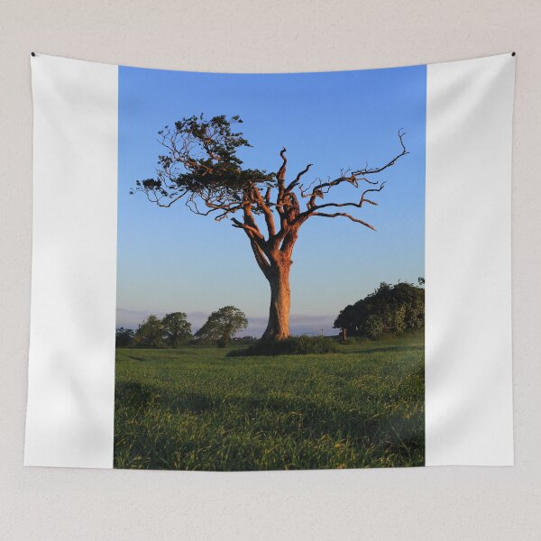 Item preview, An Old Friend designed and sold by Wrayzo.