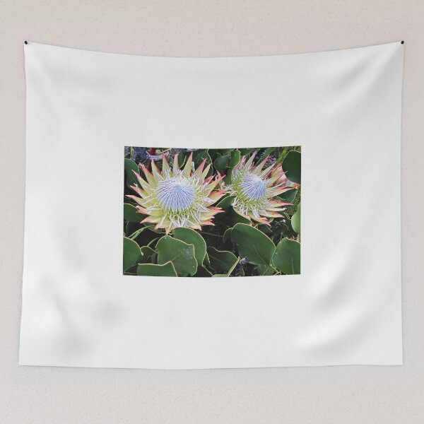 Item preview, The King of Proteas designed and sold by BiodiversityRocks.