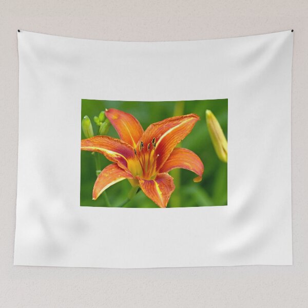 Item preview, My First Lily designed and sold by Frankie Cat Photography.