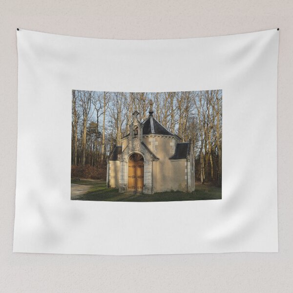 Item preview, Church or Crypt?, Montresor, Loire Valley, France 2012 designed and sold by muz2142.