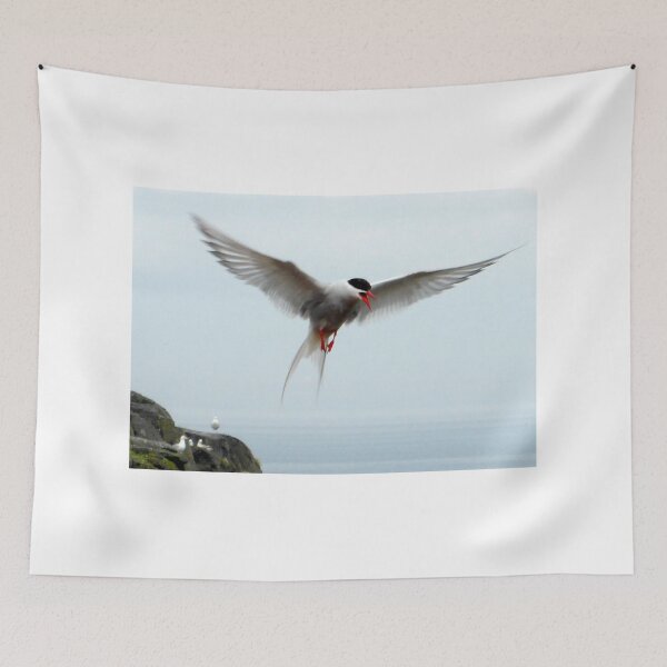 Item preview, Arctic Tern designed and sold by angel1.