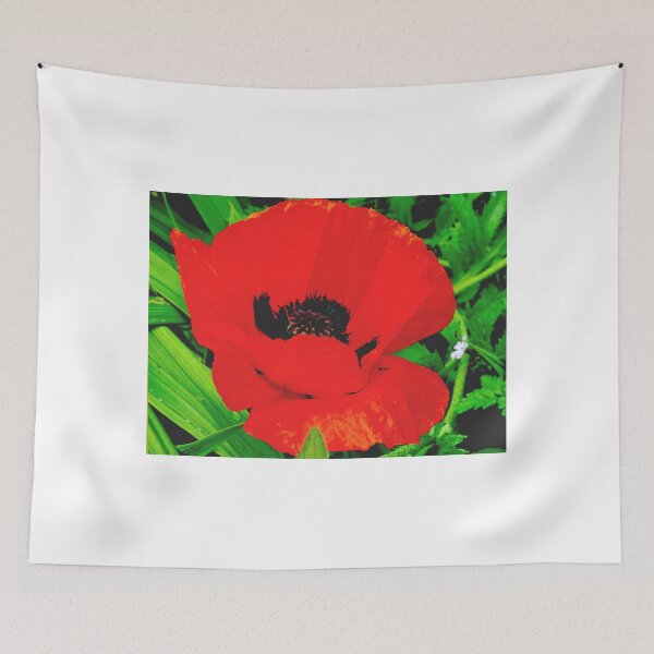 Item preview, Lady In Red.......... designed and sold by lynn carter.