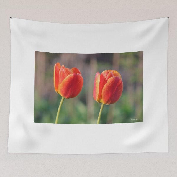 Item preview, Red and Yellow Tulips designed and sold by Gilda Axelrod.