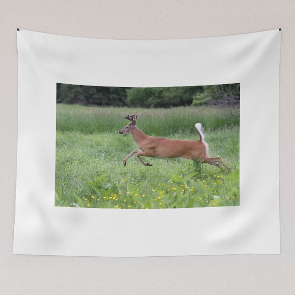 Item preview, White-tailed Buck designed and sold by James Cumming.