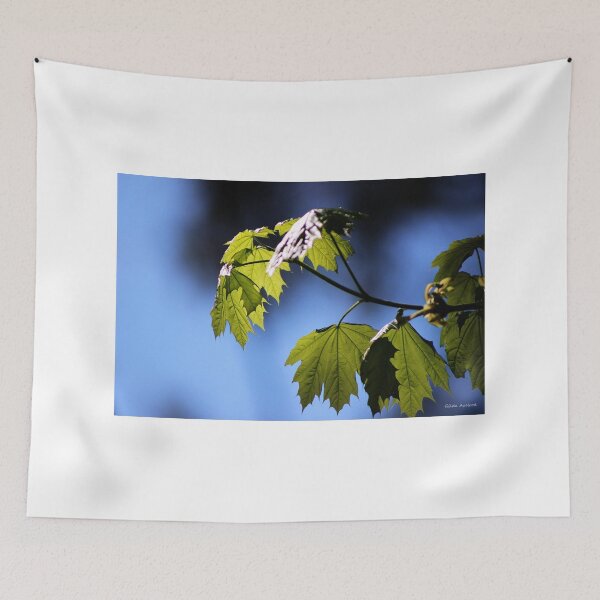 Item preview, New Leaves in the Light designed and sold by Gilda Axelrod.