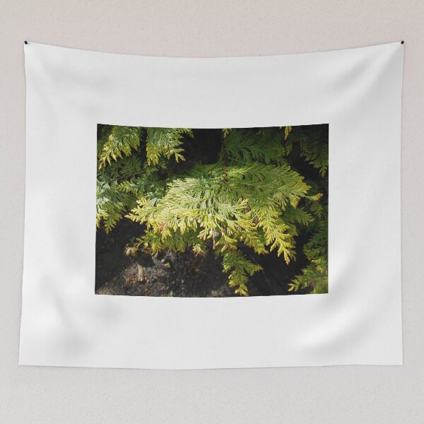 Item preview, Sunlit Juniper designed and sold by BlueMoonRose.