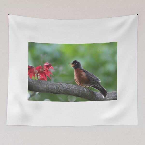 Item preview, Robin's Song designed and sold by Gilda Axelrod.