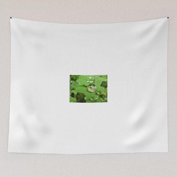 Item preview, Raindrops on Sorrel leaf designed and sold by BiodiversityRocks.