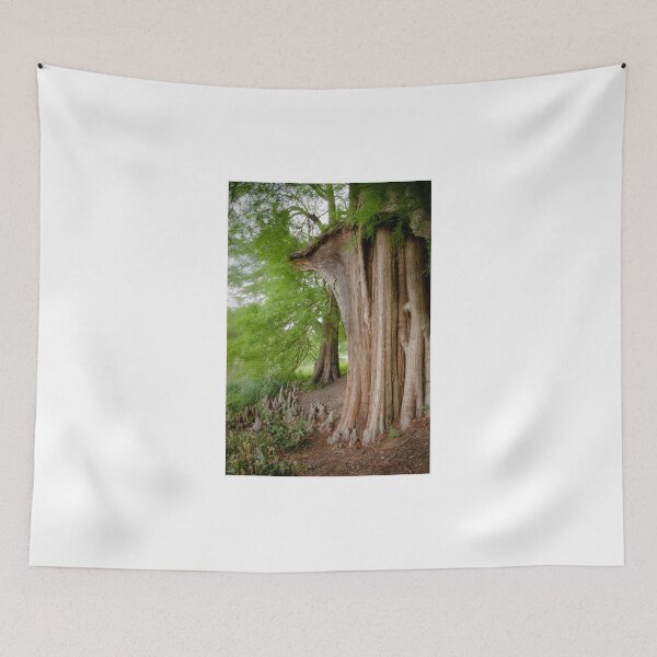 Item preview, Under the swamp cypresses designed and sold by steppeland.