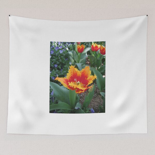 Item preview, Tulip Time in Canberra Australia 2  designed and sold by Heatherian.