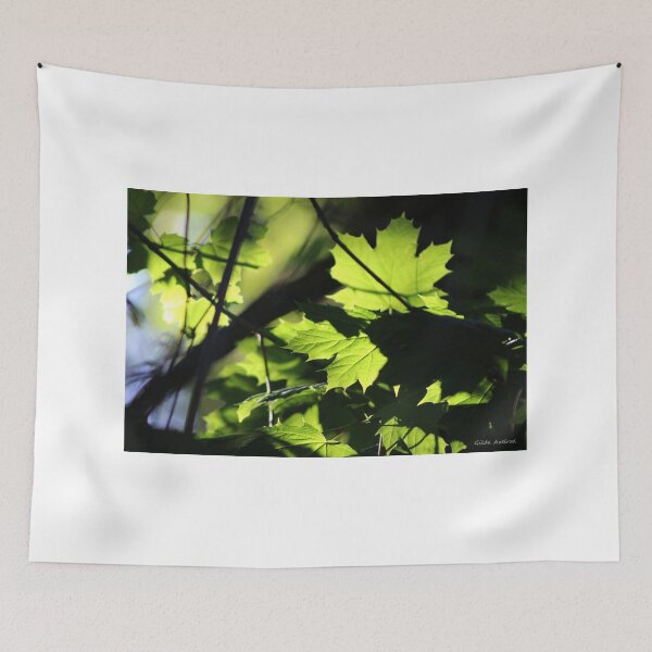 Item preview, Morning Light in the Maple Tree designed and sold by Gilda Axelrod.