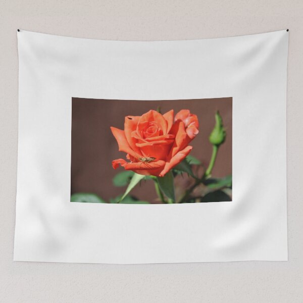 Item preview, CRICKET AND RED ROSE 2 designed and sold by JAYMILO.