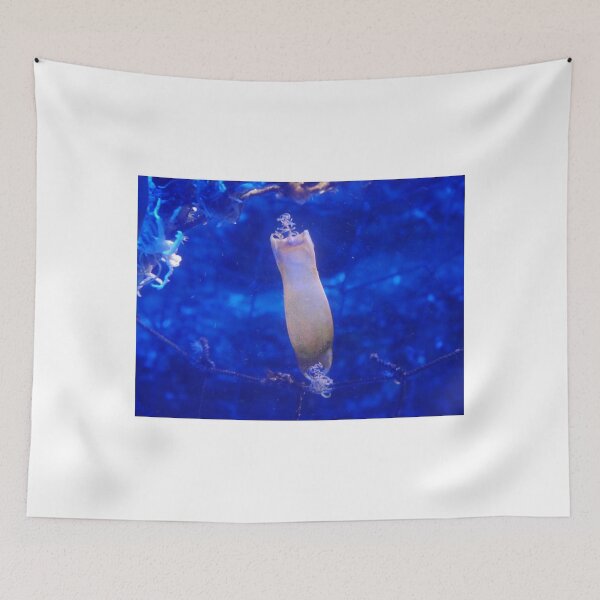 Item preview, Mermaid's Purse designed and sold by Ellen McAleavey.