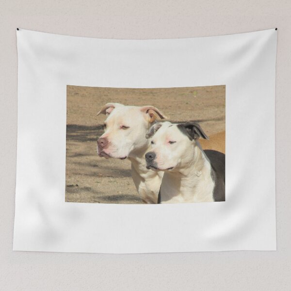 Item preview, Do You See What I See? designed and sold by Ginny York.